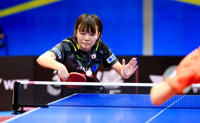 研究表明 研究表明